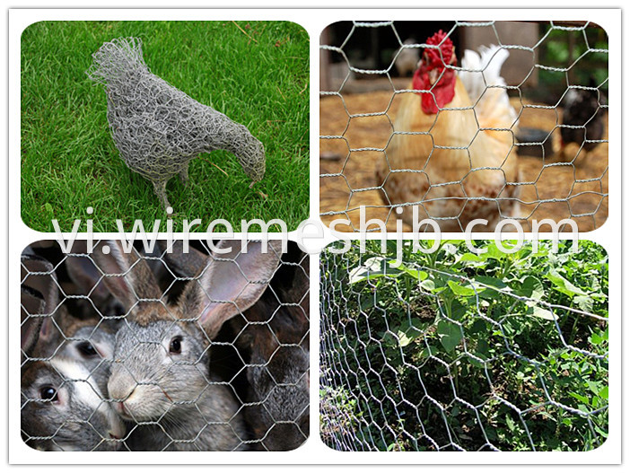 Hexagonal chicken wire